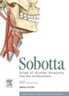 Sobotta Atlas of Human Anatomy, Vol. 3, 15th ed., English : Head, Neck and Neuroanatomy