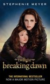 Breaking Dawn film tie in (Part 2)