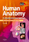 Human Anatomy (An Illustrated Colour Text)
