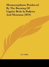 Metamorphism Produced By The Burning Of Lignite Beds In Dakota And Montana (1874)