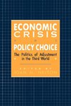 Economic Crisis and Policy Choice