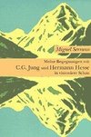 Meine Begegnungen mit C. G. Jung und Hermann Hesse in visionärer Schau