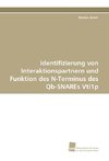 Identifizierung von Interaktionspartnern und Funktion des N-Terminus des Qb-SNAREs Vti1p