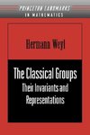 The Classical Groups