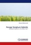 Forage Sorghum Hybrids