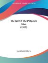 The Jaw Of The Piltdown Man (1915)