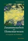 Zusammenarbeit mit Elementarwesen