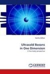 Ultracold Bosons in One Dimension