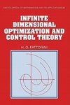 Infinite Dimensional Optimization and Control Theory