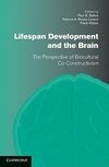 Lifespan Development and the Brain