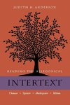 Reading the Allegorical Intertext