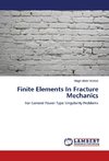 Finite Elements In Fracture Mechanics