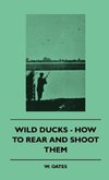 Wild Ducks - How to Rear and Shoot Them