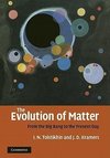 The Evolution of Matter