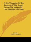 A Brief Narrative Of The Progress Of The Gospel Among The Indians Of New England, 1670 (1868)