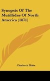 Synopsis Of The Mutillidae Of North America (1871)