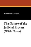 NATURE OF THE JUDICIAL PROCESS