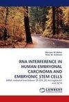 RNA INTERFERENCE IN HUMAN EMBRYONAL CARCINOMA AND EMBRYONIC STEM CELLS