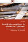 Gazéification catalytique du Miscanthus X giganteus