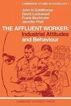 The Affluent Worker