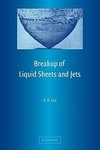 Breakup of Liquid Sheets and Jets