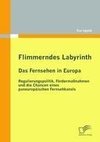 Flimmerndes Labyrinth: Das Fernsehen in Europa  - Regulierungspolitik, Fördermaßnahmen und die Chancen eines paneuropäischen Fernsehkanals