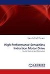 High Performance Sensorless Induction Motor Drive