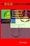 Guide to Three Dimensional Structure and Motion Factorization