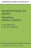 Perceptions of Work