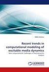 Recent trends in computational modeling of excitable media dynamics