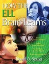 Sousa, D: How the ELL Brain Learns