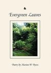 Evergreen Leaves