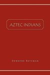 Aztec Indians