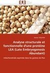 Analyse structurale et fonctionnelle d'une protéine LEA (Late Embryogenesis Abundant)