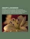 Amaryllidoideen