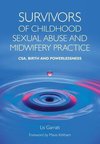 Survivors of Childhood Sexual Abuse and Midwifery Practice