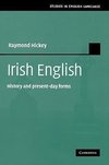 Irish English