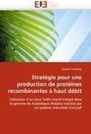 Stratégie pour une production de protéines recombinantes à haut débit