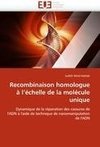 Recombinaison homologue à l'échelle de la molécule unique