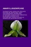 Amaryllisgewächse