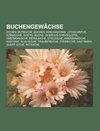 Buchengewächse