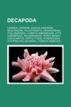 Decapoda