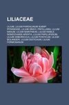 Liliaceae