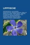 Lippfische