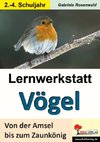 Lernwerkstatt Vögel Von der Amsel bis zum Zaunkönig