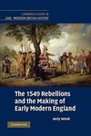 The 1549 Rebellions and the Making of Early Modern England