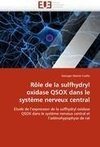 Rôle de la sulfhydryl oxidase QSOX dans le système nerveux central