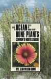 A Guide to Ocean Dune Plants Common to North Carolina