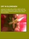 Ort in Slowenien