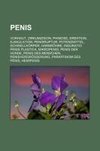 Penis